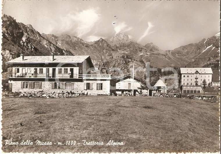 1953 PIANO DELLA MUSSA (TO) Trattoria alpina *Cartolina FG VG