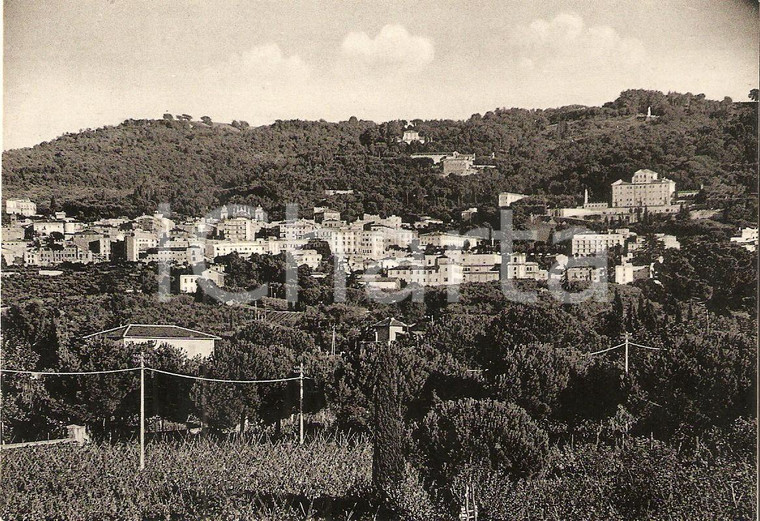 1950 ca FRASCATI (RM) Panorama della città *Cartolina FG VG