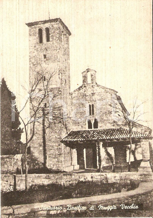 1950 ca MUGGIA (TS) Basilica santuario di MUGGIA VECCHIA *Cartolina FG NV