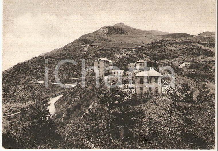 1950 PASSO DEL PENICE Panorama della valle *Cartolina FG VG