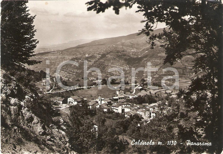 1950 ca FABBRICA CURONE (AL) Frazione CALDIROLA Panorama *Cartolina FG VG