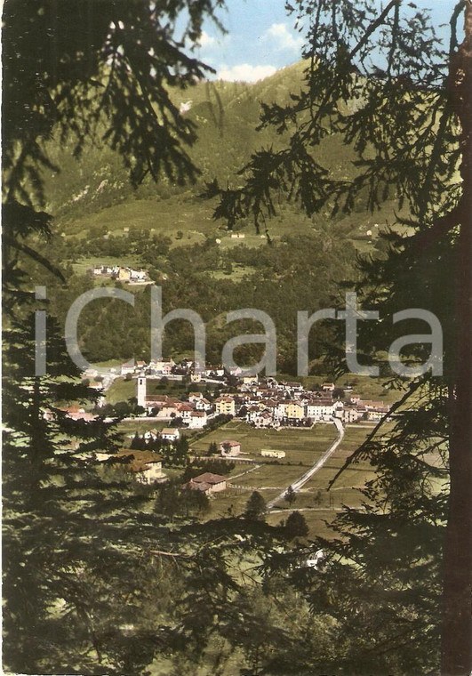 1962 DRUOGNO (VB) Panorama con ALBOGNO Valle dei pittori *Cartolina FG VG