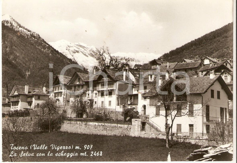 1960 TOCENO (VB) La Selva con la scheggia *Cartolina FG NV