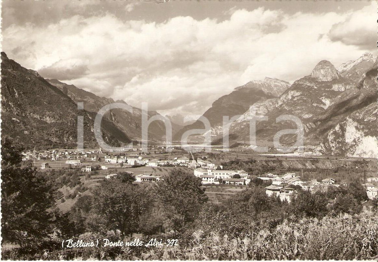 1959 PONTE NELLE ALPI (BL) Panorama del paese *Cartolina FG VG