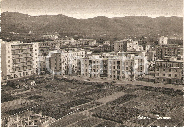 1950 ca SALERNO Campi coltivati al quartiere TORRIONE *Cartolina FG NV