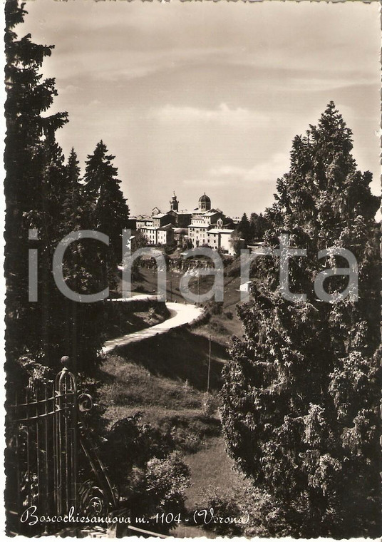 1955 BOSCO CHIESANUOVA (VR) Panorama con sentiero *Cartolina FG VG