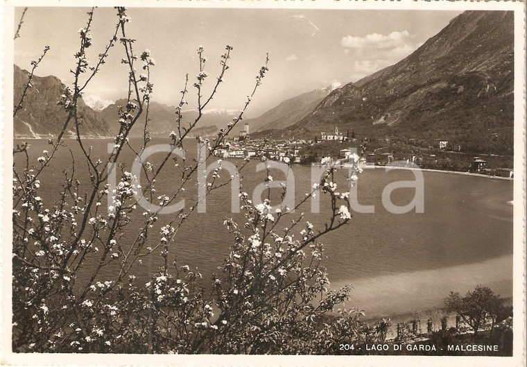 1941 MALCESINE (VR) Panorama con LAGO DI GARDA *Cartolina FG VG