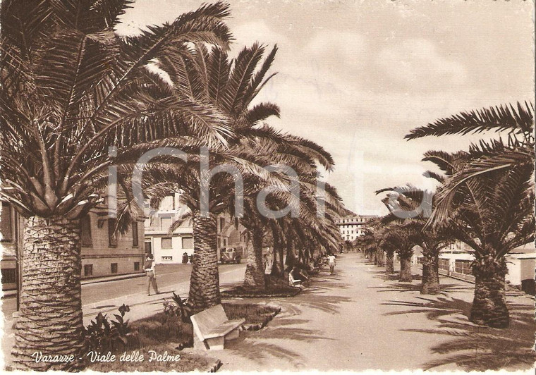 1953 VARAZZE (SV) Uomo passeggia in Viale delle Palme *Cartolina FG VG