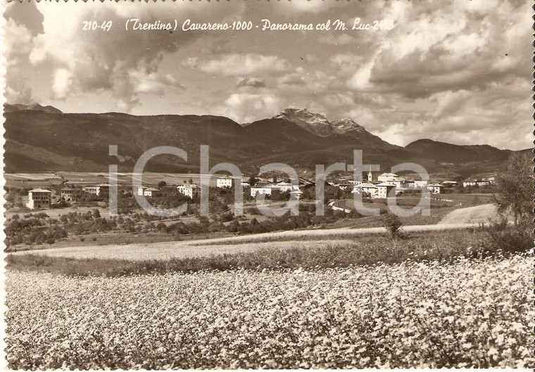 1955 CAVARENO (TN) Panorama con MONTE LUC *Cartolina FG VG