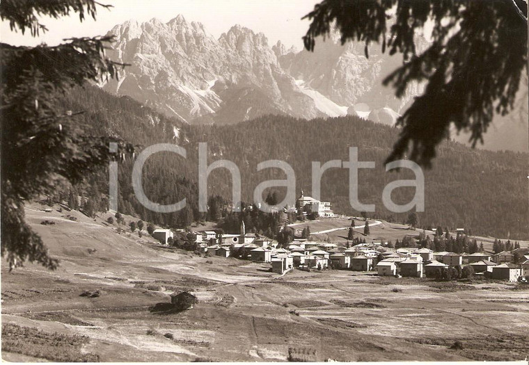 1953 LAGGIO DI CADORE (BL) Panorama del paese *Cartolina FG VG