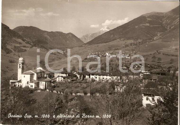 1958 OSSIMO SUPERIORE (BS) Panorama con Altipiano di BORNO *Cartolina FG VG