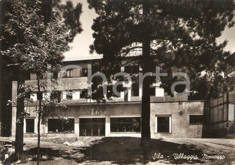 1957 TAVERNA (CZ) Villaggio MANCUSO Panorama - SILA *Cartolina FG VG