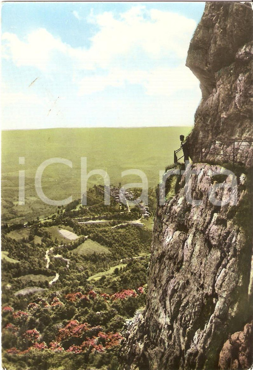 1962 VARESE - CAMPO DEI FIORI Escursionista sulla mulattiera *Cartolina FG VG
