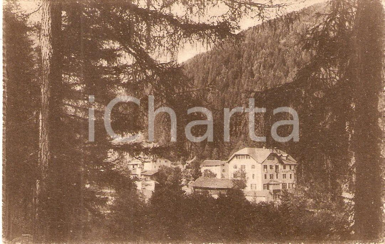 1920 ca STAVA DI TESERO (TN) Gli alberghi visti dalla Pineta *Cartolina FP NV