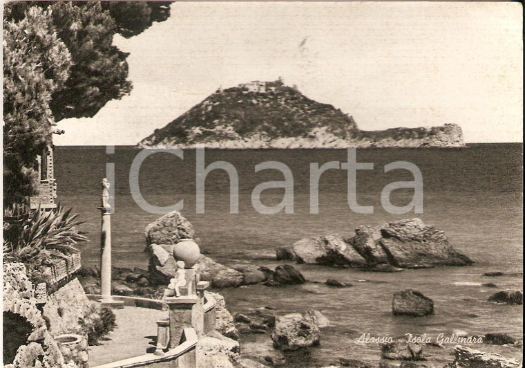 1958 ALASSIO (SV) Panorama di Isola Gallinara *Cartolina FG VG