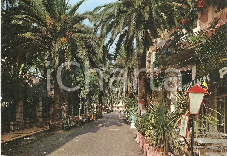 1966 ALASSIO (SV) Bancarella in Via Cavour *Cartolina FG VG