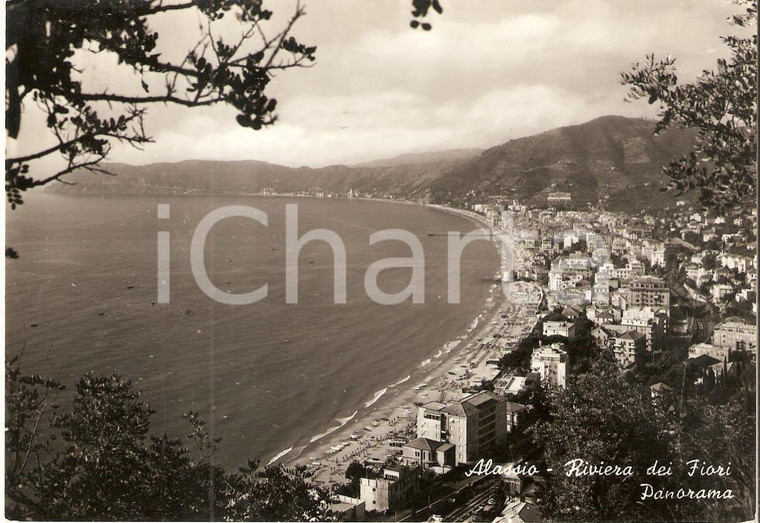 1956 ALASSIO (SV) Panorama - Riviera dei fiori *Cartolina FG VG