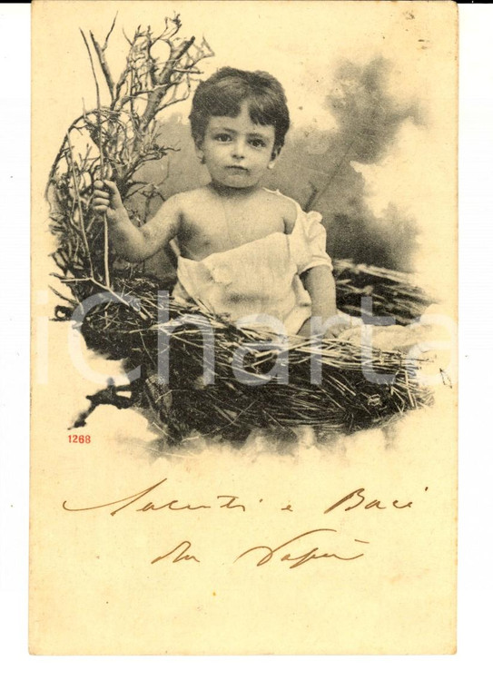 1900 ca COSTUMI Un bambino nel nido *Cartolina VINTAGE FP VG