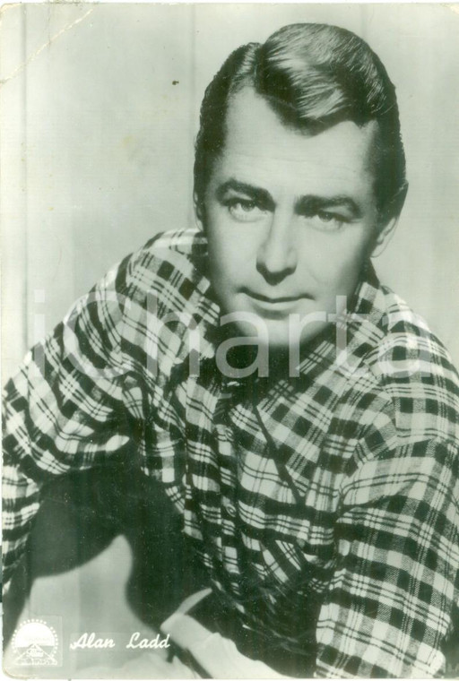 1945 ca CINEMA Attore Alan LADD in camicia a quadri *Cartolina FG NV DANNEGGIATA