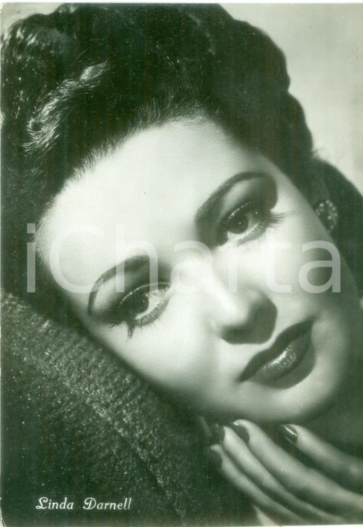 1955 ca CINEMA Attrice Linda DARNELL Ritratto fotografico *Cartolina FG NV