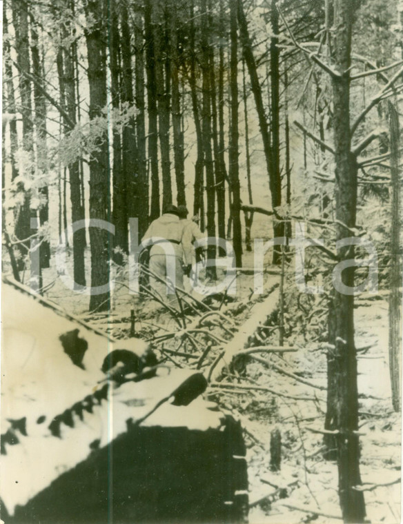 1944 FRONTE ORIENTALE WW2 Paracadutisti tedeschi si inoltrano in un bosco *Foto