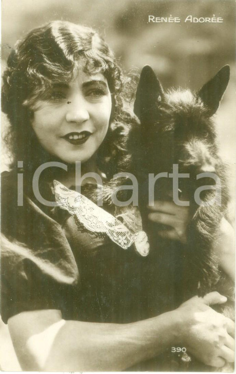 1930 ca CINEMA Attrice Renée ADOREE con cagnolino *Cartolina FP NV