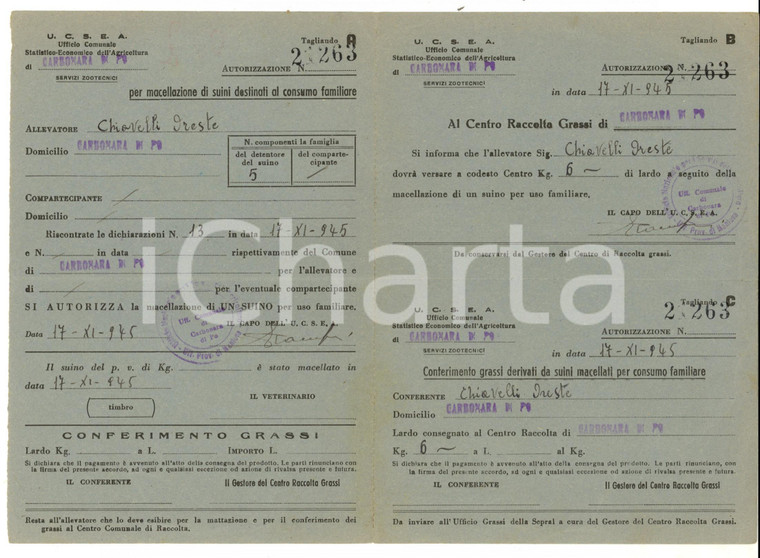 1945 CARBONARA DI PO Autorizzazione Oreste CHIAVELLI per macellazione suini