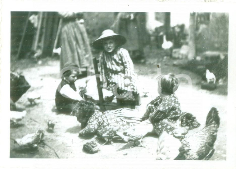 1950 ca CASTELLAZZO DI BOLLATE (MI) Bambini giocano nell'aia con le galline Foto