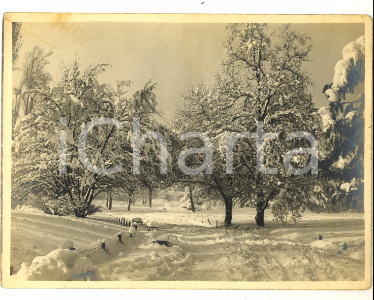 1940 ca AREA LOMBARDA (?) Giardino innevato con laghetto *Foto ARTISTICA 24x19