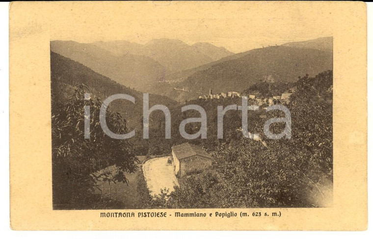 1915 MAMMIANO - POPIGLIO (PT) Veduta tra le montagne *Cartolina postale FP VG