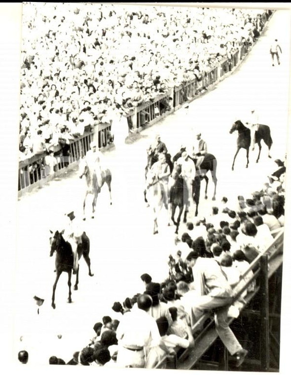 1952 PALIO DI SIENA Cavalli a passeggio sulla pista *Foto ARTISTICA 7x10 cm