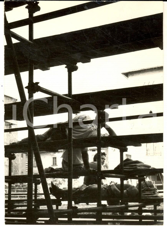1954 PISTOIA Riposo su un palco in piazza Duomo *Foto ARTISTICA 11x15 cm