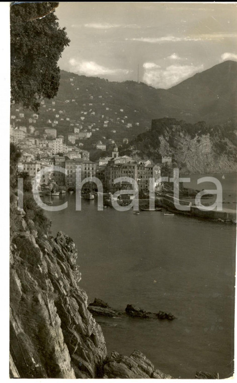 1950 ca CAMOGLI (GE) Veduta del porticciolo nel Golfo Paradiso *Foto 12x20 cm