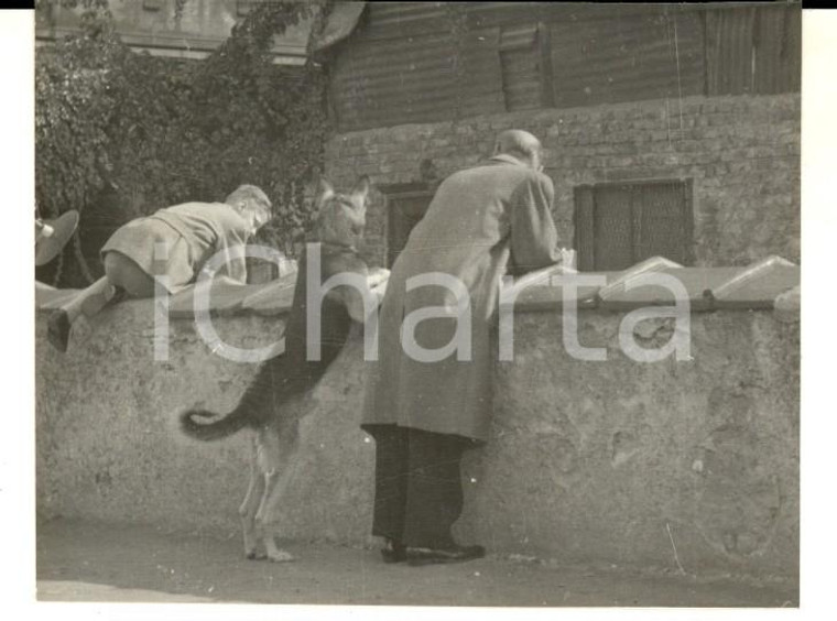 1952 MILANO In attesa con il cane *Foto ARTISTICA 9x7 cm CURIOSA
