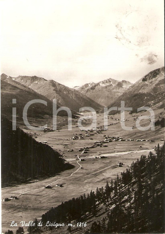 1961 LIVIGNO (SO) Panorama della Valle *Cartolina FG VG
