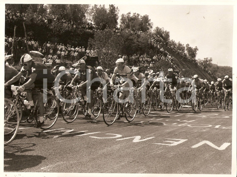1955 FRASCATI Mondiali CICLISMO Gruppo di ciclisti durante la gara *Foto