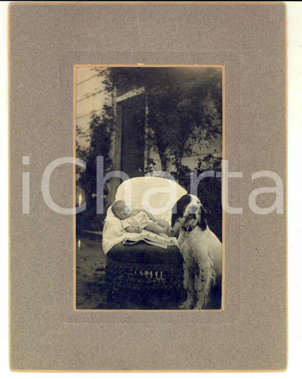 1950 ca AREA LOMBARDA Ritratto di bambino con il cane di famiglia *Foto 18x24