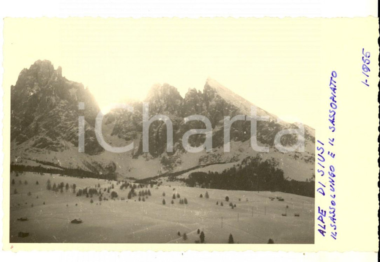 1955 ALPE DI SIUSI Il Sassolungo e il Sassopiatto *Fotocartolina ARTISTICA 