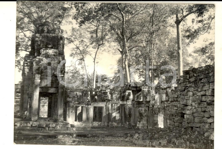 1960 ca ANGKOR (CAMBOGIA) La foresta invade le rovine dei templi *Foto 12x8