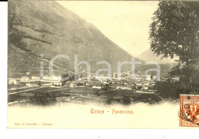 1903 TIRANO (SO) Panorama del paese *Cartolina VINTAGE FP VG