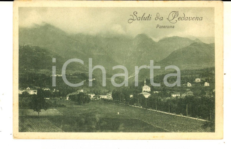 1920 ca PEDAVENA (BL) Veduta panoramica *Cartolina postale FP NV