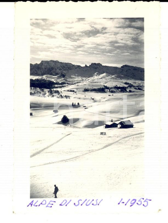 1955 ALPE DI SIUSI Una veduta delle piste *Fotografia VINTAGE 8x10 cm