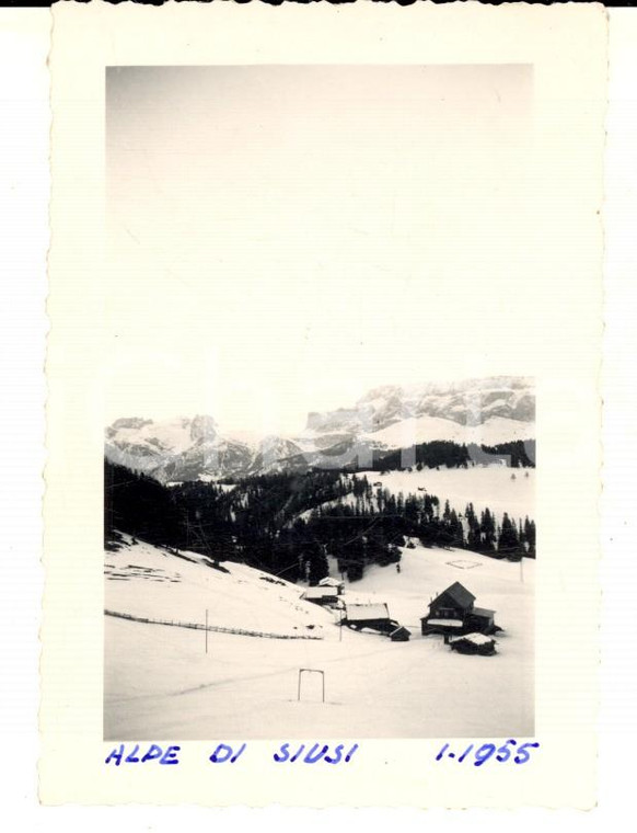 1955 ALPE DI SIUSI Una veduta delle piste innevate *Foto VINTAGE 8x10 cm