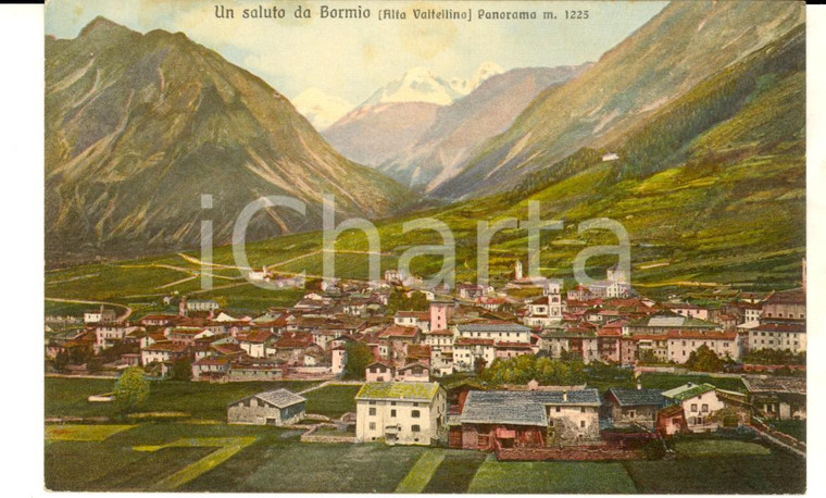 1915 ca BORMIO (SO) Veduta panoramica - ALTA VALTELLINA *Cartolina FP NV