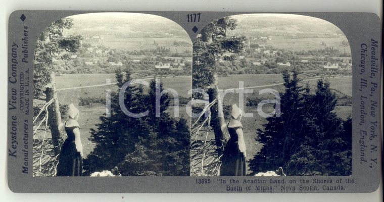 1930 ca CANADA On the shores of the Basin of Minas *Stereoview KEYSTONE