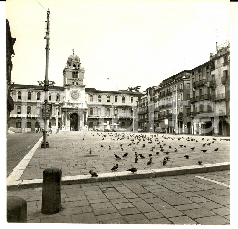 1970 ca PADOVA Veduta di Piazza dei Signori *Fotografia ARTISTICA 18x22 cm
