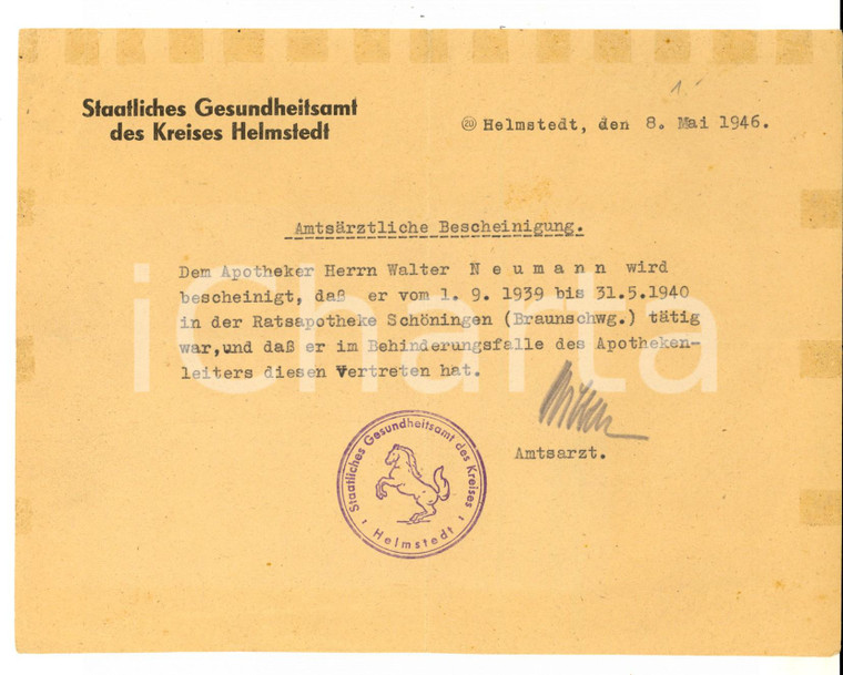 1946 HELMSTEDT (D) Amtsärztliche Bescheinigung Apotheker Walter NEUMANN