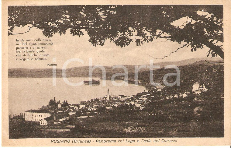 1950 ca PUSIANO (CO) Isola dei cipressi e lago di COMO Panorama *Cartolina FP NV