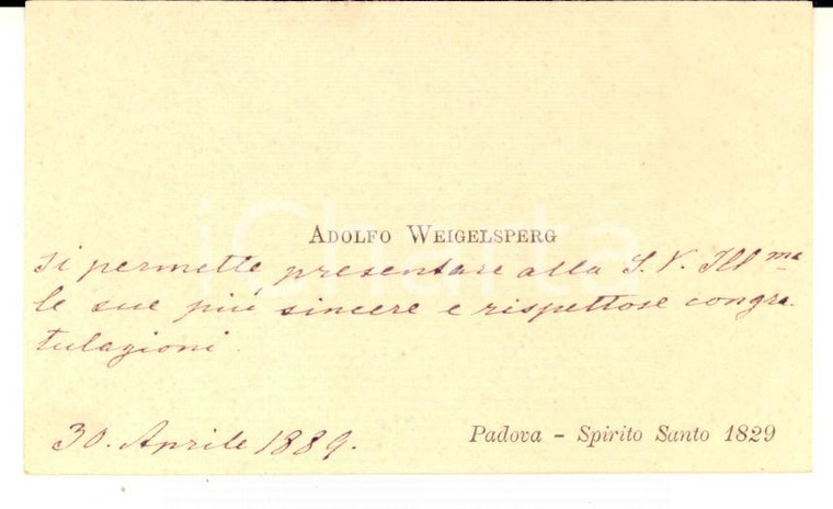 1889 PADOVA Adolfo WEIGELSPERG *Biglietto da visita presentazione autografo