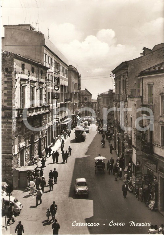 1950 ca CATANZARO Torpedone e cavallo in Corso Mazzini *Cartolina FG VG  